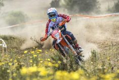 Taylor Robert (KTM) - Photo © Dario Agrati